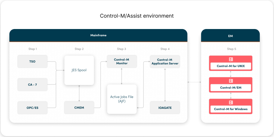 Control-M/Assist environment